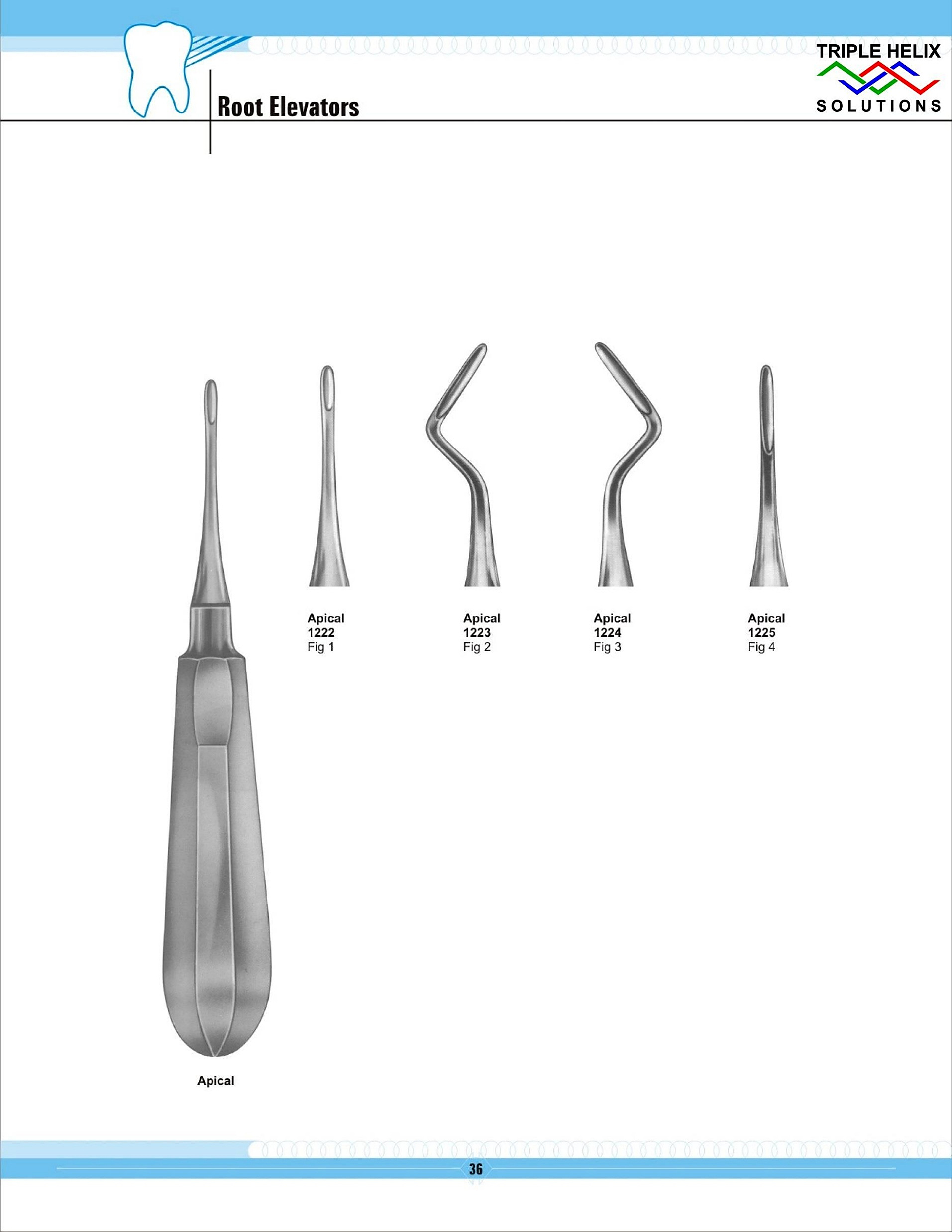 Apical Root Elevators - page 36